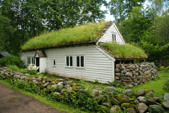 Зелень на крыше дома