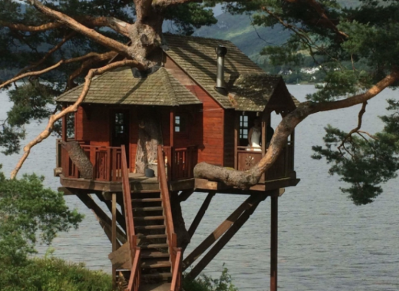 Строительство домика на дереве